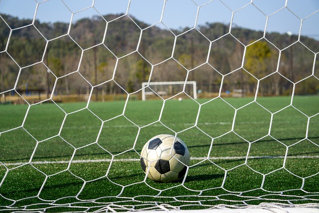 系长远发展 系长远发展