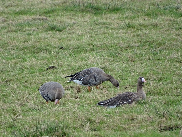 逐渐锁定季 逐渐锁定季