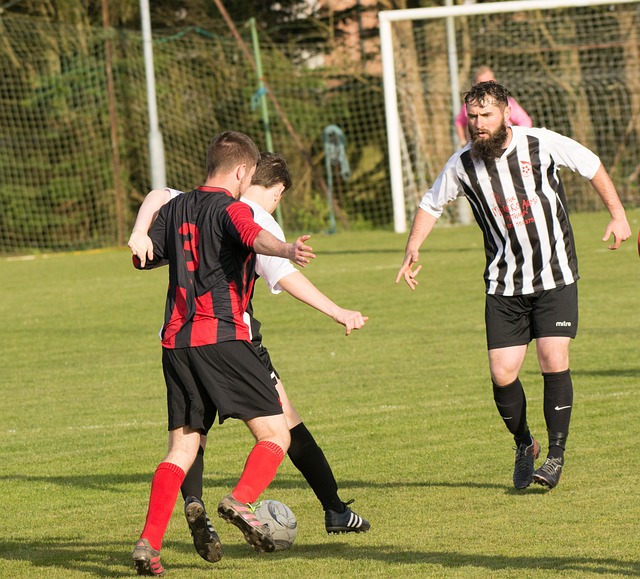 地压制了对 地压制了对