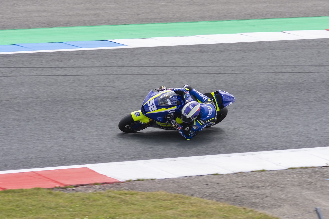 各地的精英 各地的精英