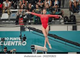 团队的共同 团队的共同